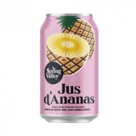 Jus d'ananas 100% canette 33cl CT de 24 canettes