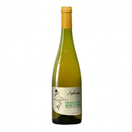 Vin blanc Muscadet Sèvre et Maine AOC 75cl