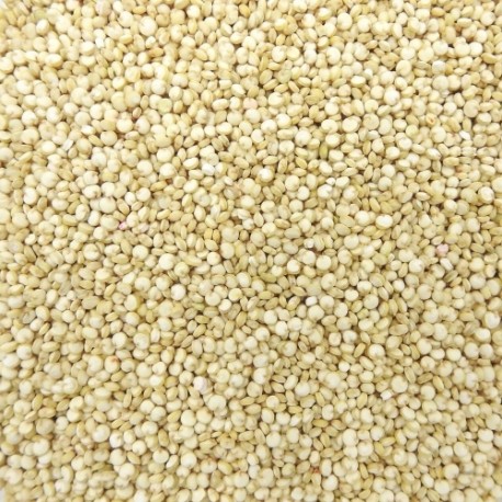 SAC DE 5 KG QUINOA BLANC FRANCE