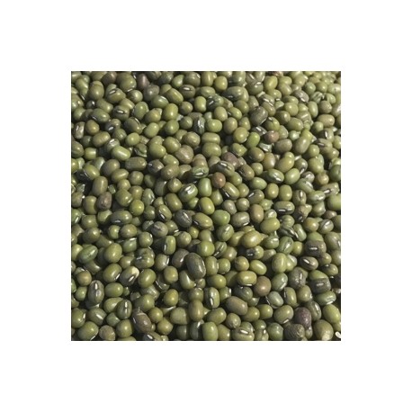 CARTON DE 5 KG HARICOTS MUNGO BIO