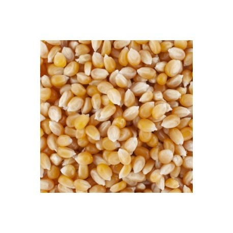 SAC DE 25 KG VRAC MAÏS POP CORN FRANCE