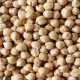 CARTON VRAC DE 5 KG POIS CHICHES BIO