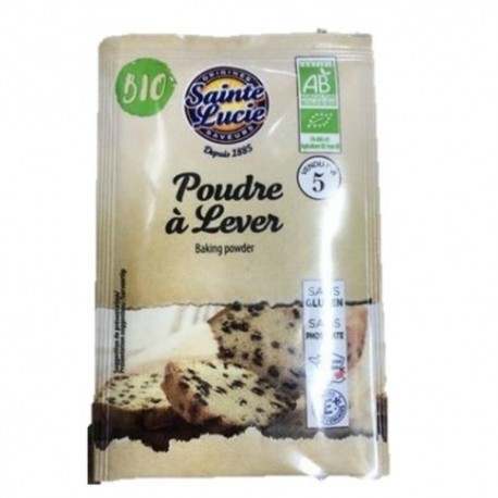 CARTON DE 24 SACHETS DE POUDRE A LEVER BIO 5X10 GR