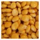 CARTON DE PIECES LUPINS TREMPÉS EXTRA ESPAGNE 2KG